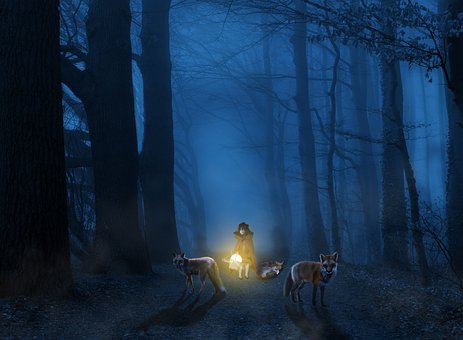 Licht, Donker, Natuur, Mysterie