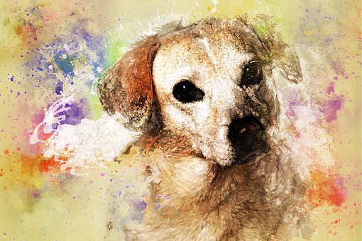 Free Portrait Animal illustration and picture