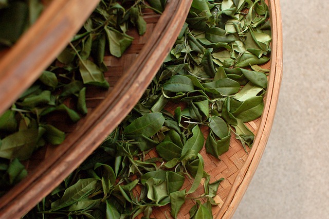 Free Tea Tea Sieve photo and picture