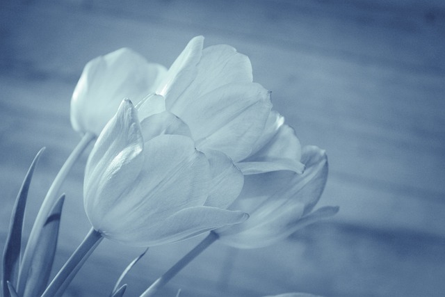 flower, bouquet, flower background, tulip, pink, color, flowers send, flower wallpaper, to send flowers service, nature, petal, romantic, beautiful flowers, gift, love, spring, beautiful