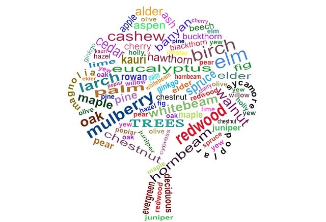 Wordcloud, Trær, Kunnskap, Tagcloud