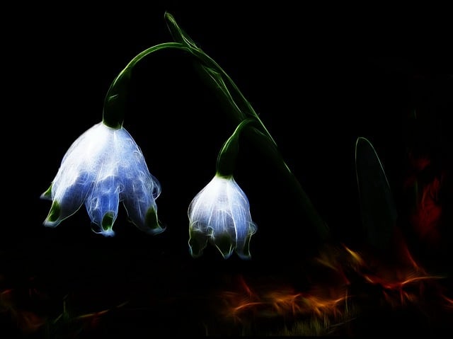 Free fractalius nature märzenbecher illustration