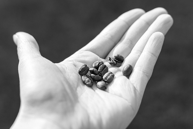 Grano, Café