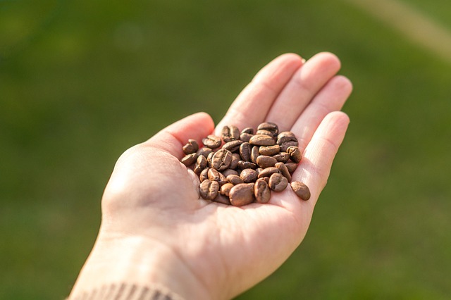 Grano, Café, Beber