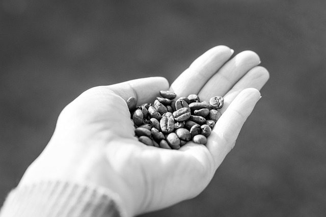 Grano, Café, Beber, Mano, Taza De Café