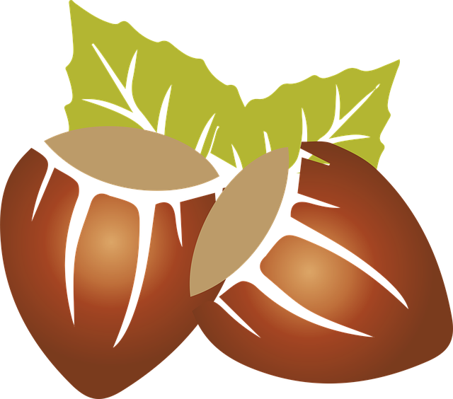 Haselnüsse, Nüsse, Natur, Pflanze
