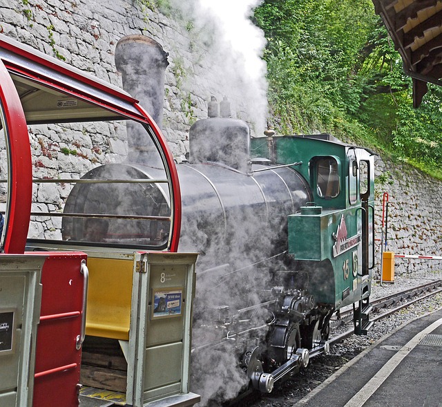 steam locomotive, cable railway, brienz, brienz rothornbahn, red horn, view mountain, bernese oberland, switzerland, steam operation, view car, train, railroad line, rail, transport system, railroad, platform, the starting point, rack railway, narrow gauge railway, historical, steam