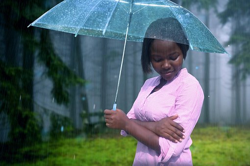 Free Umbrella Outside photo and picture