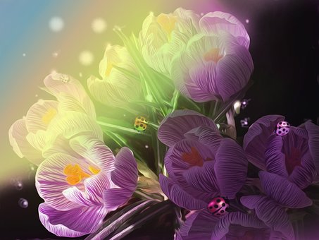 Illustration, Krokus, Marienkäfer, Blüte