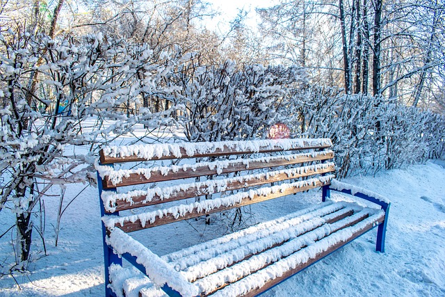 Free Winter Snow photo and picture