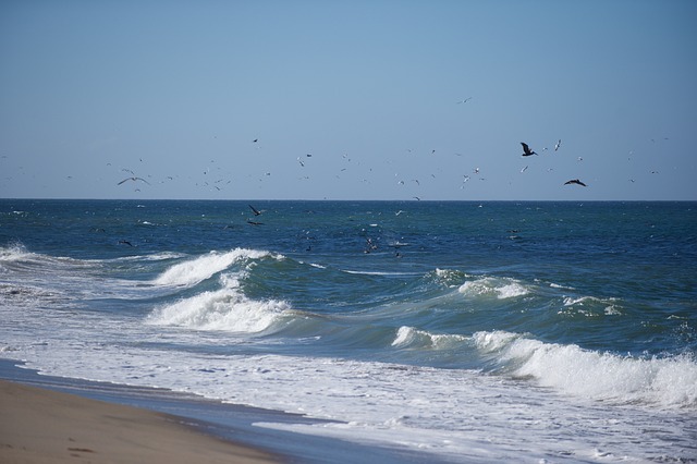 Free Water Sea photo and picture