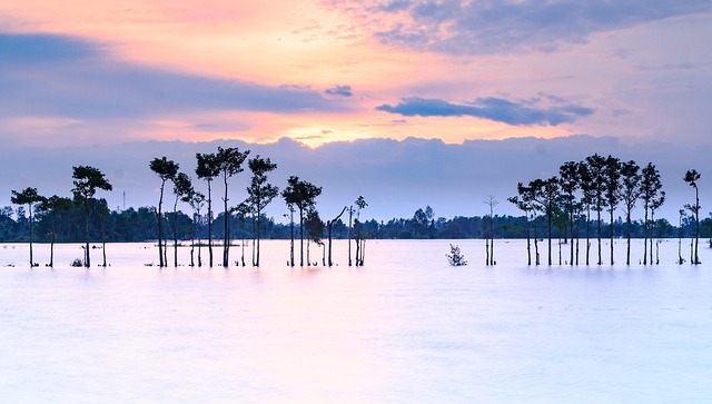 Free Nature Water photo and picture