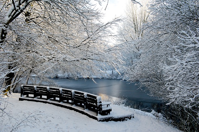 Free Winter Snow photo and picture