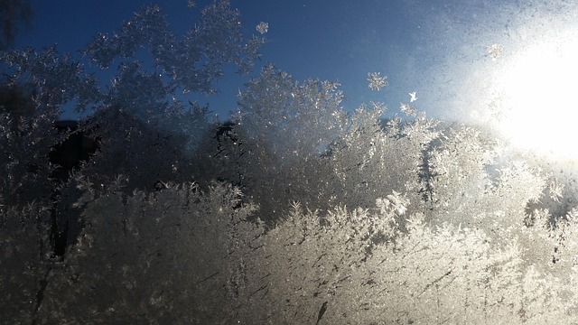 Free Nature Winter photo and picture