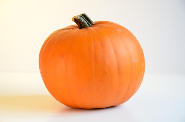 Free Pumpkin Food photo and picture