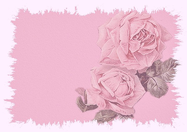 Hintergrund, Rosa, Einladung, Scrapbook