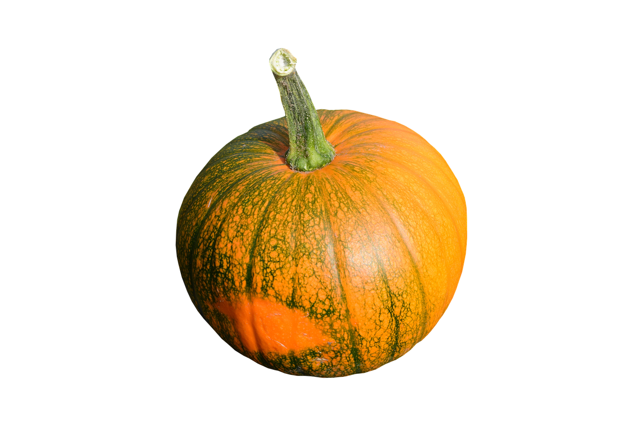 Cocumber - free online jigsaw puzzle photo