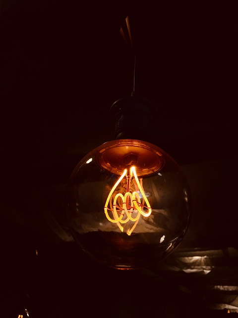 Free Insubstantial Lamp photo and picture