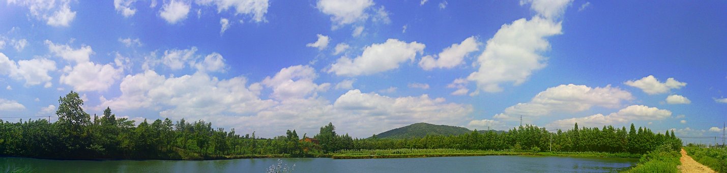Vedere De Pasăre, Natură, Vară, Peisaj