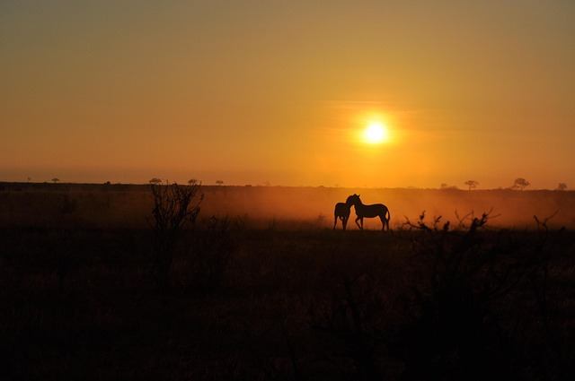 Free Sunrise Dawn photo and picture