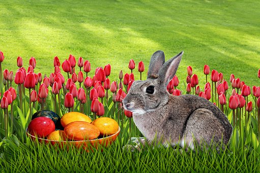 Free Grass Easter photo and picture