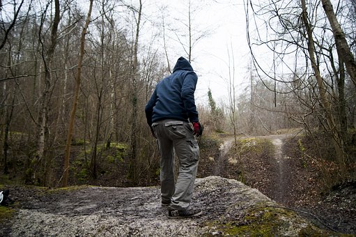 Tre, Utendørs, Natur, Falle
