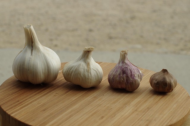 Free Garlic Garlic Elephant photo and picture