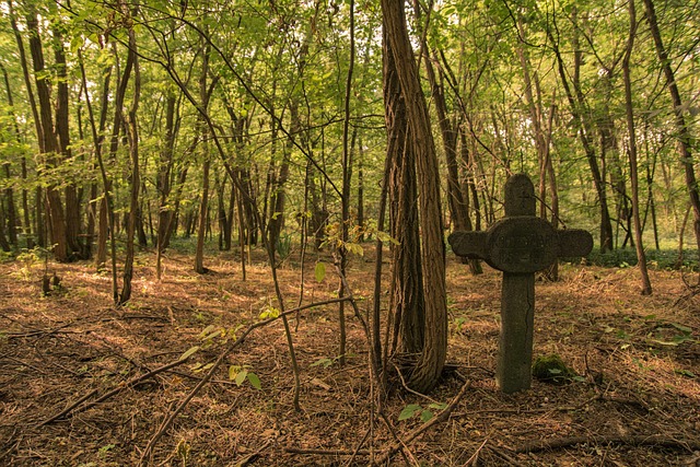Free Forest Cemetery photo and picture