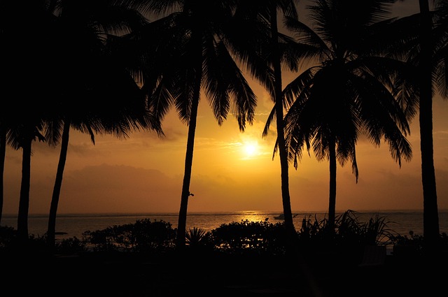 Free Beach Coast photo and picture