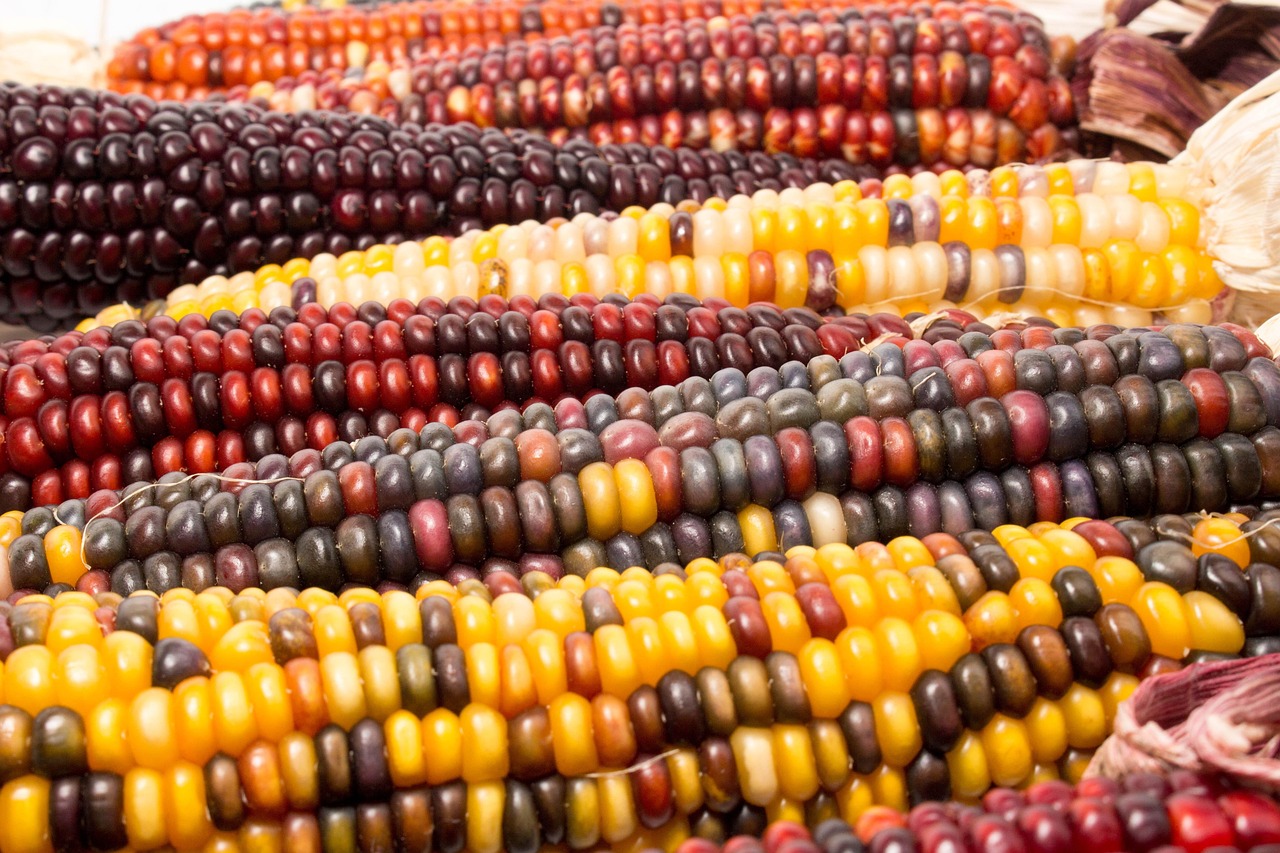 Corn Market Hazelnut - Free photo on Pixabay