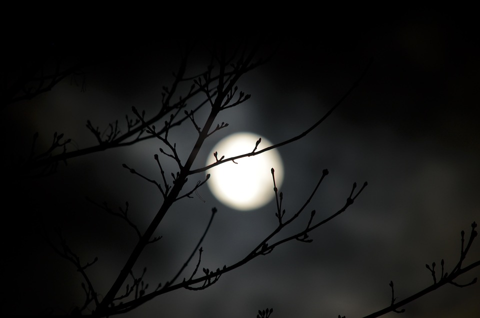 Darkness