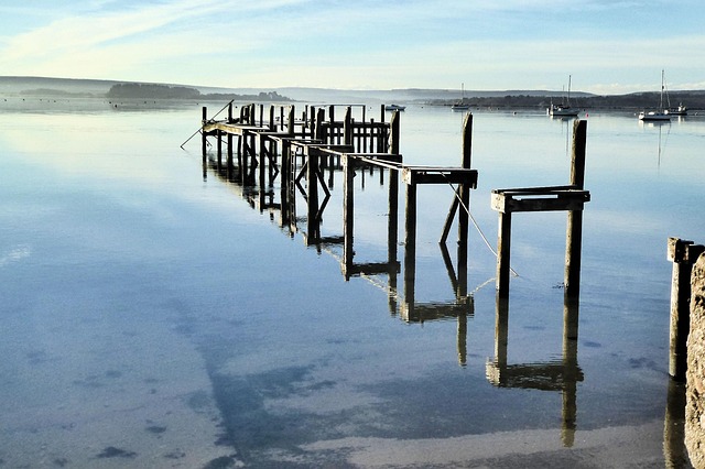 Free Water Sea photo and picture