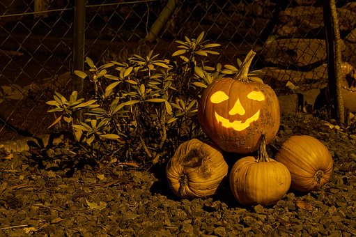 Free Pumpkin Food photo and picture