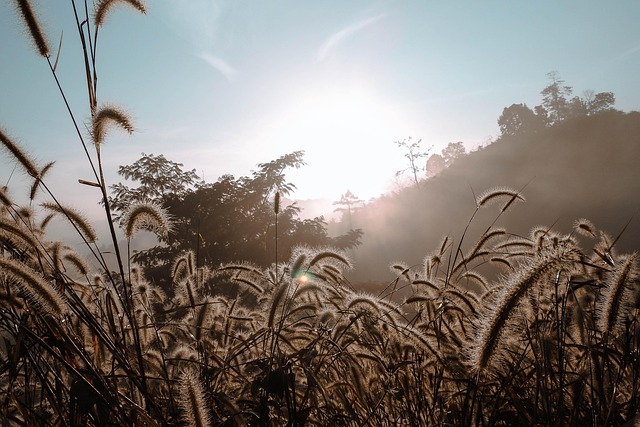 Free Nature Sky photo and picture