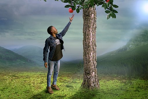 Free Fruit Apple photo and picture