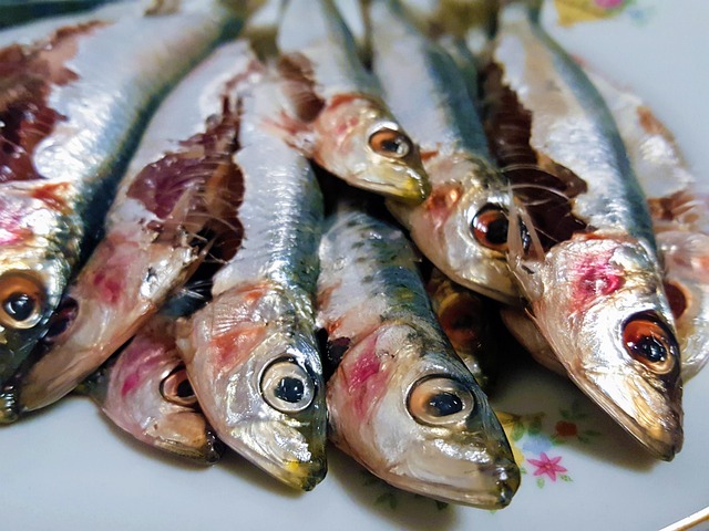 Free Seafood Fish photo and picture