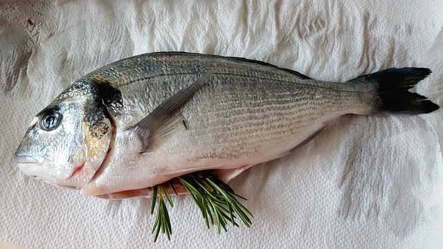 Free Fish Seafood photo and picture