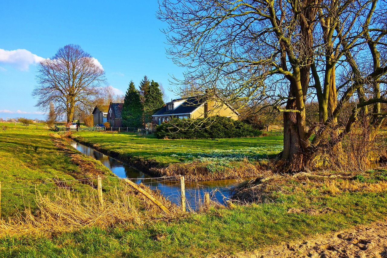 Farm House - free online jigsaw puzzle photo
