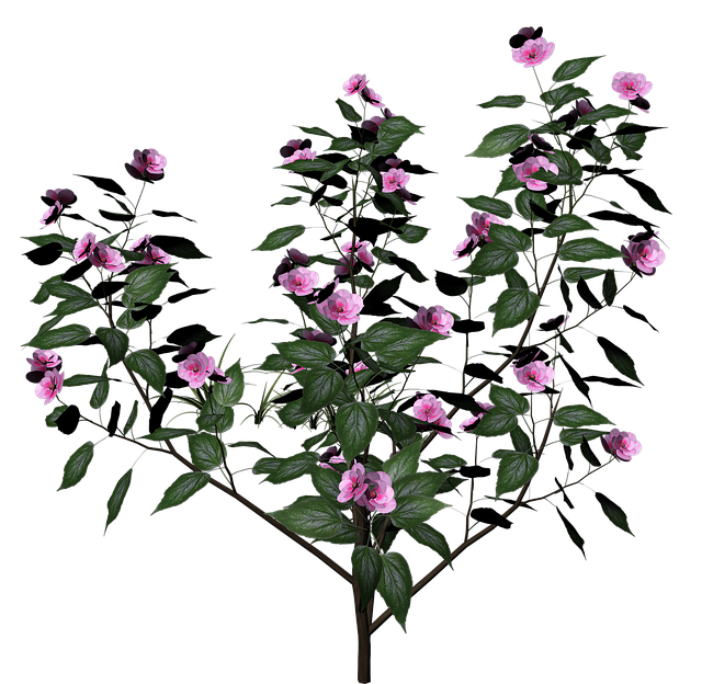 Free shrub plant blossoms illustration
