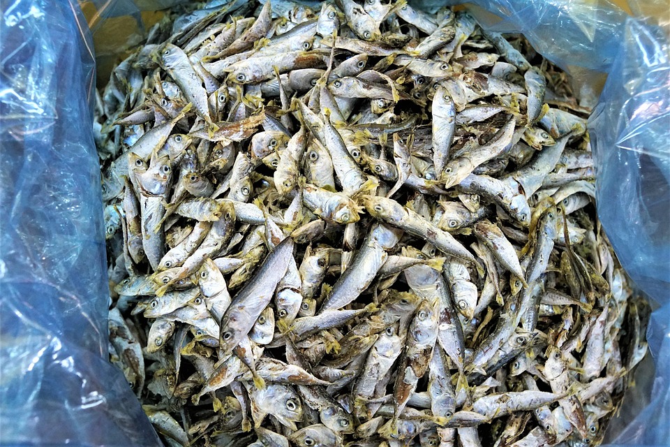 狂插亚洲妹