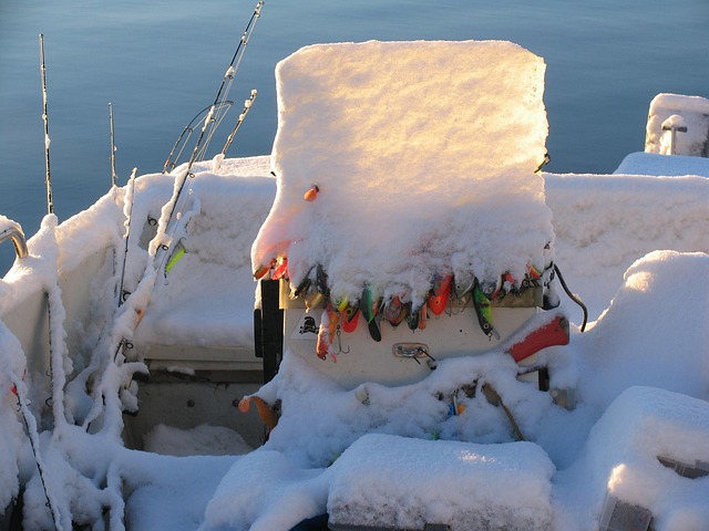 Free Snow Winter photo and picture