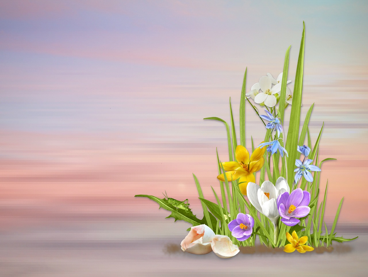 Frühling Frühlingsblumen Natur - Kostenloses Foto auf Pixabay - Pixabay