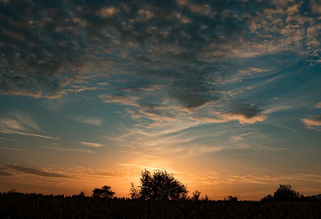 Free Sunset Nature photo and picture