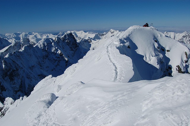 Kratzer, Gesichtszüge Im Winter
