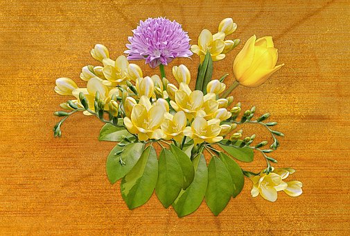 Unduh 800 Wallpaper Bunga Freesia HD Terbaik Unduh 800 Wallpaper Bunga Freesia HD Terbaik