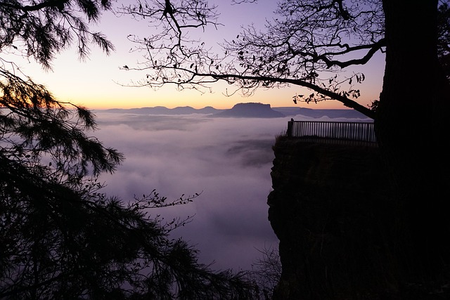 Baum, Natur, Morgendämmerung, Gewässer