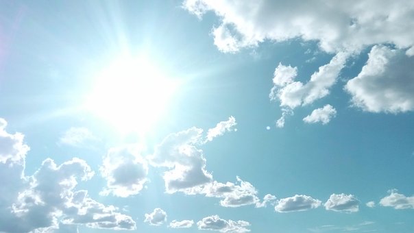 Free Afternoon Sunny photo and picture