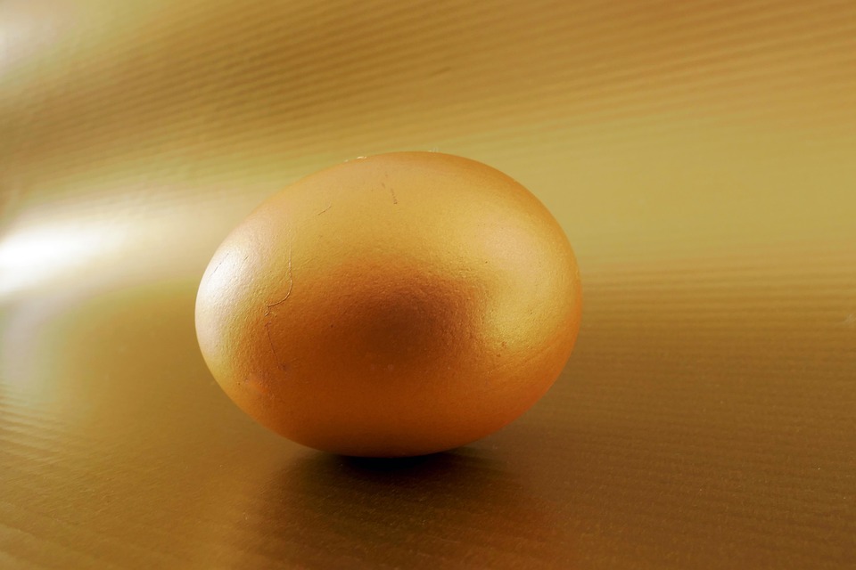 Egg Protein Yolk Golden Free photo on Pixabay Pixabay