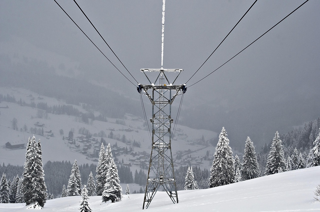 Snow - free online jigsaw puzzle photo