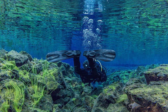 underwater, a journey of discovery, waters, ocean, divers lung, travel, sea, diver, adventure, dive, people, variety, water sports, deep, silfra-column, tectonic plate gap, tectonically, volcano, dry suit diving, diving suit, compressed air, neoprene, trilaminate, jacket, bcd, lung machine, finimeter, crystal clear, sicht100, blue, turquoise, equipment diving, tec-diving, freezing, glacier water, hobby, colorful, lake, iceland, pingvellier park, diving bottle, air bubbles, bubbles, rivers, zero time, rock